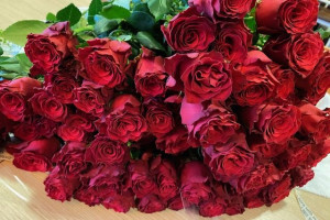 Valentijnsdag en rode rozen